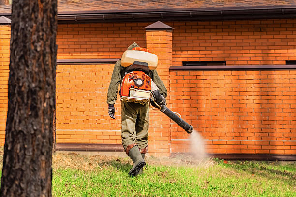Bed Bug Clearance Verification and Documentation in New Hempstead